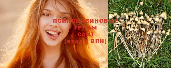 спиды Беломорск