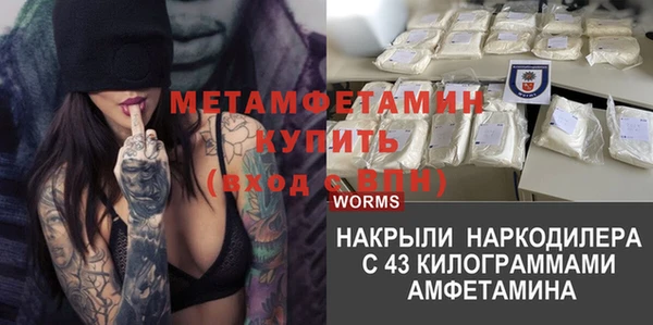 ПСИЛОЦИБИНОВЫЕ ГРИБЫ Балахна
