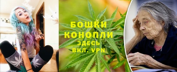 PSILOCYBIN Белокуриха