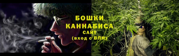 ПСИЛОЦИБИНОВЫЕ ГРИБЫ Балахна