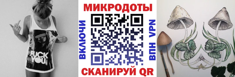 кракен рабочий сайт  Ершов  Псилоцибиновые грибы мицелий 