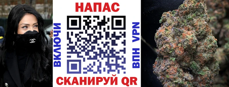 Бошки Шишки MAZAR  mega зеркало  Ершов  где найти  